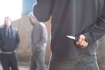 L'urgence d'une réponse forte face aux rixes entre jeunes