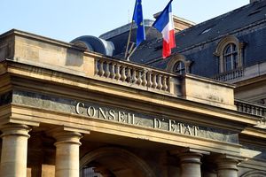 Enfance maltraitée : le Conseil d’État annule l’interdiction d'exercer de la pédopsychiatre Eugénie Izard
