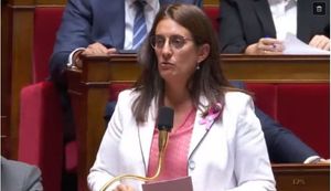 Perrine Goulet, députée de la Nièvre, élue présidente de la délégation parlementaire aux droits des enfants