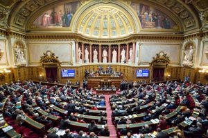 Bientôt une délégation aux droits de l'enfant au Sénat ?