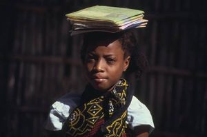Mayotte : Le CESE appelle le gouvernement à faire de l’éducation et de la protection de la jeunesse "une priorité absolue"