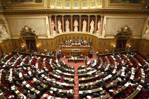 Le Sénat adopte la proposition de loi sur les enfants victimes  de violences intrafamiliales