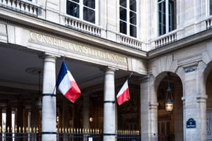 Justice des mineurs : le Conseil Constitutionnel retoque des articles clés de la loi Attal