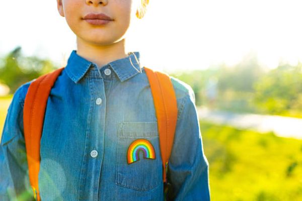 Bras de fer autour de la circulaire sur l'identité de genre en milieu scolaire