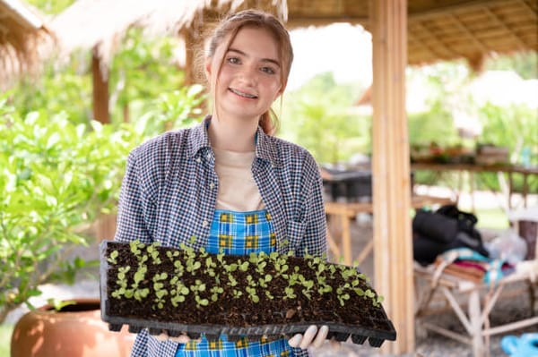 Le programme « 100% Transition  », accompagner les jeunes NEET autrement