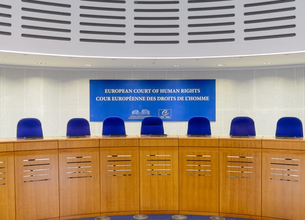 Viols sur mineurs : la France condamnée par la Cour européenne des droits de l’Homme