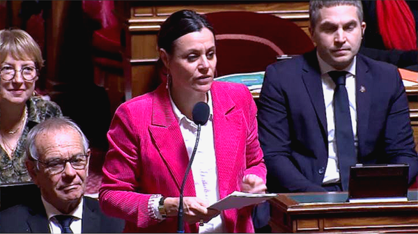 « Il n’est pas envisageable de vider le programme Pegase de sa substance »