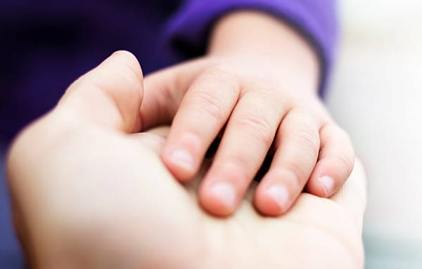 Attestation d’honorabilité : les candidats à l’adoption soumis au contrôle dès février